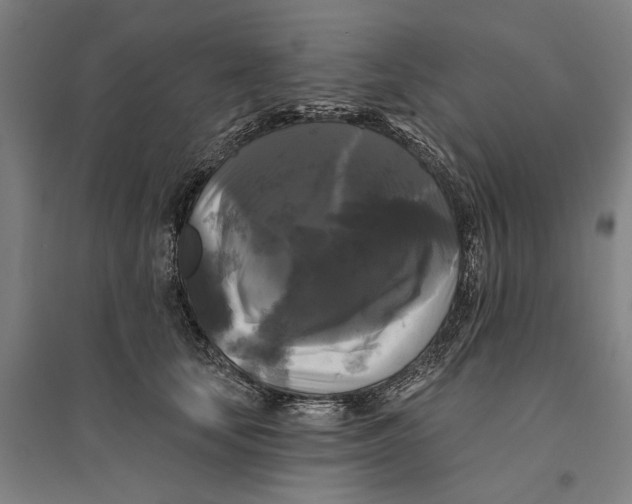 X0000095110659200712301738