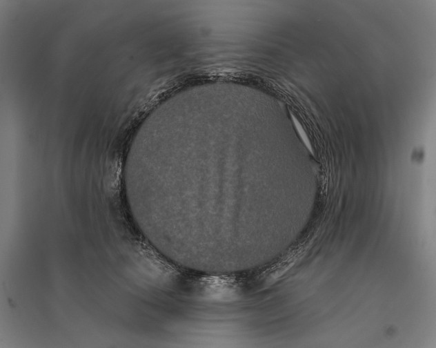 X0000095110660200712301738