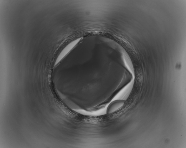 X0000095110661200712301738