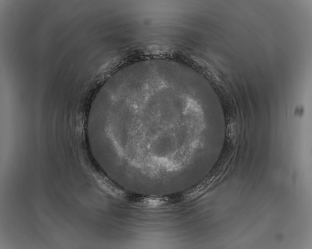 X0000095110662200712301738