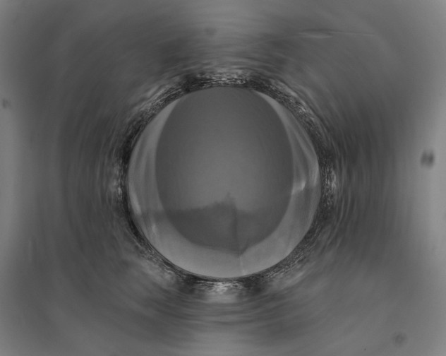 X0000095110663200712301738