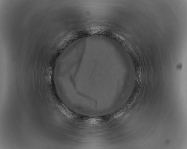 X0000095110664200712301738