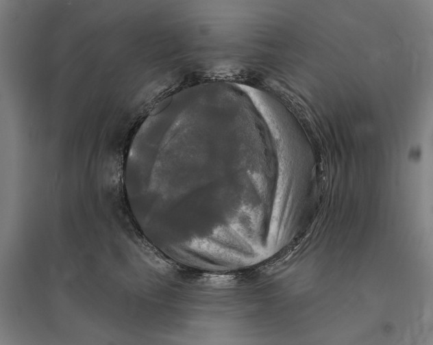 X0000095110665200712301738