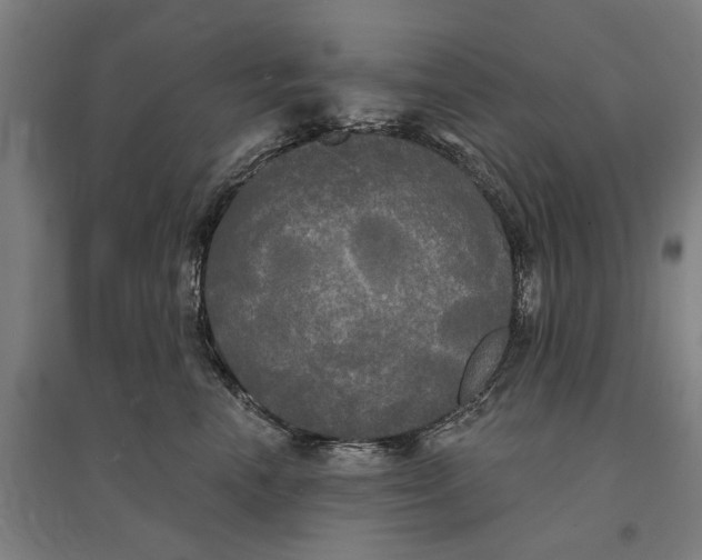 X0000095110666200712301738