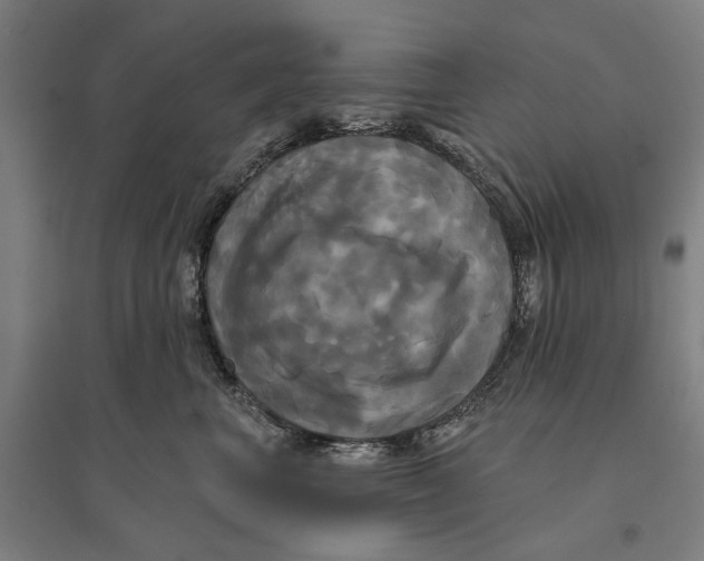 X0000095110667200712301738