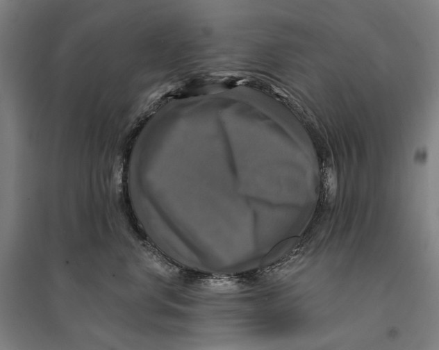 X0000095110668200712301738