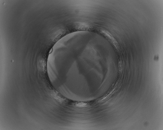 X0000095110669200712301738