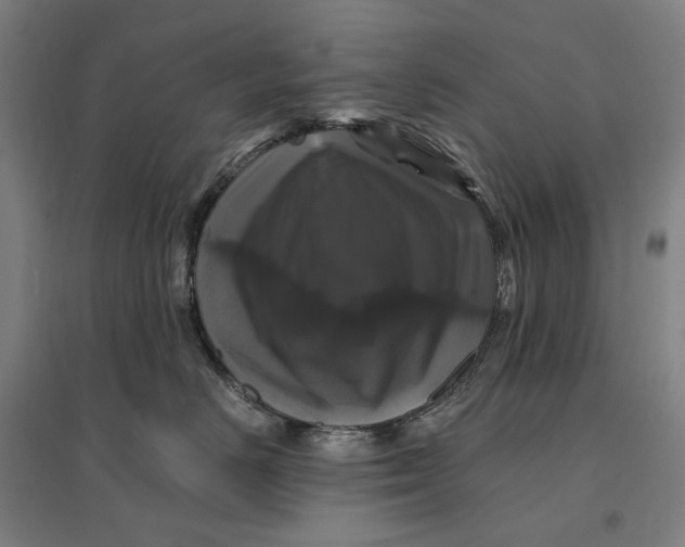 X0000095110670200712301738