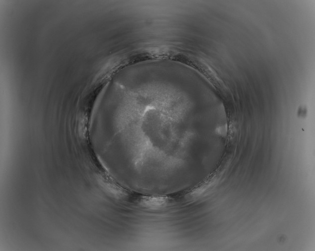 X0000095110671200712301738