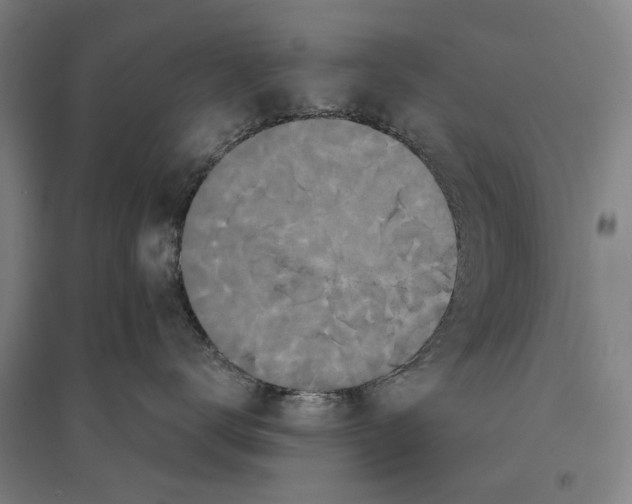 X0000095110672200712301738