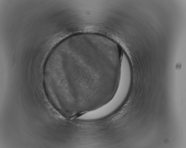 X0000095110673200712301737