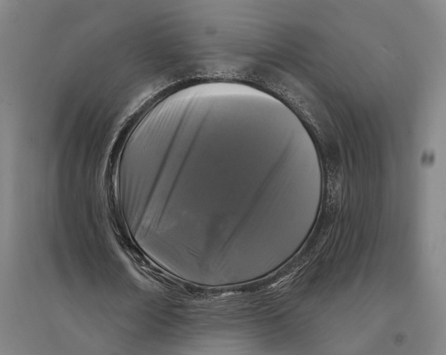 X0000095110674200712301737