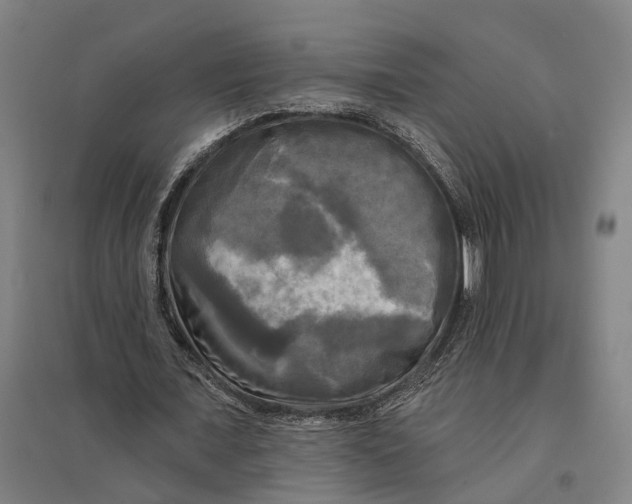 X0000095110675200712301737