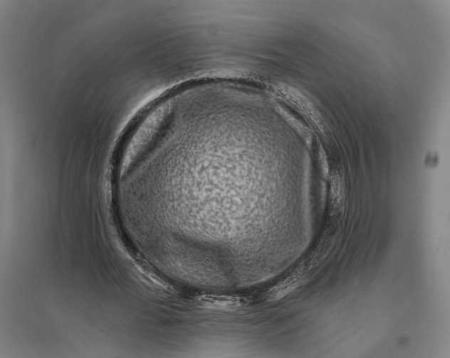 X0000095110676200712301737