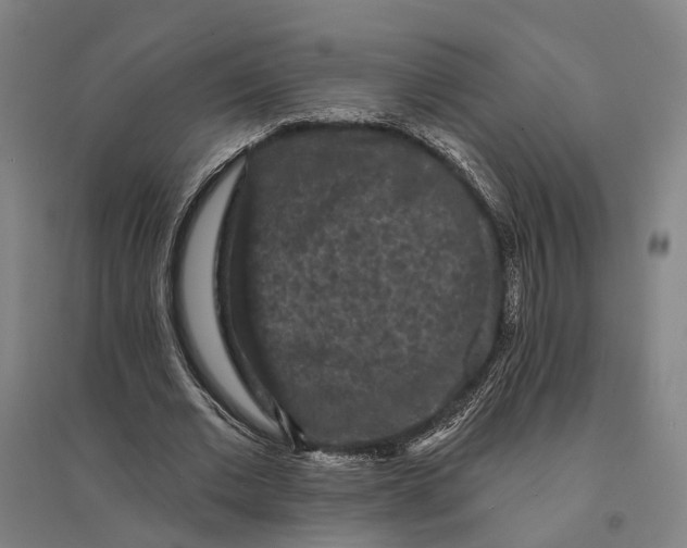 X0000095110677200712301737