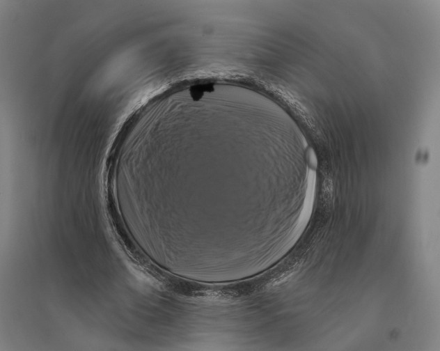 X0000095110678200712301737