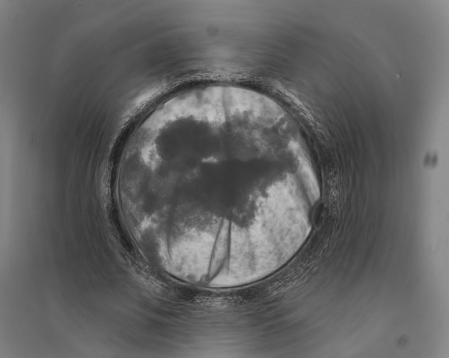 X0000095110679200712301737