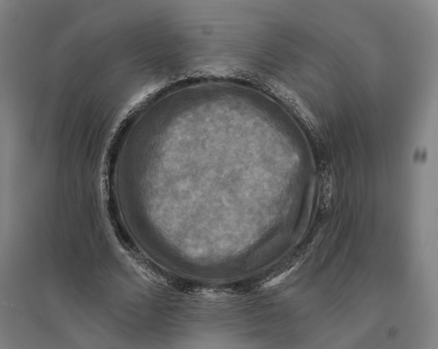 X0000095110680200712301737