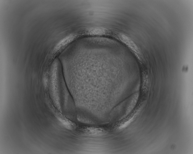 X0000095110681200712301737