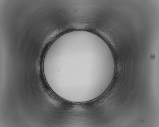 X0000095110682200712301737