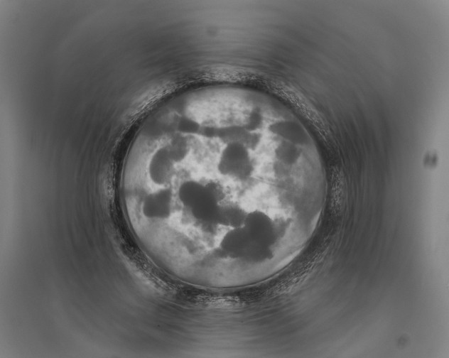 X0000095110683200712301737