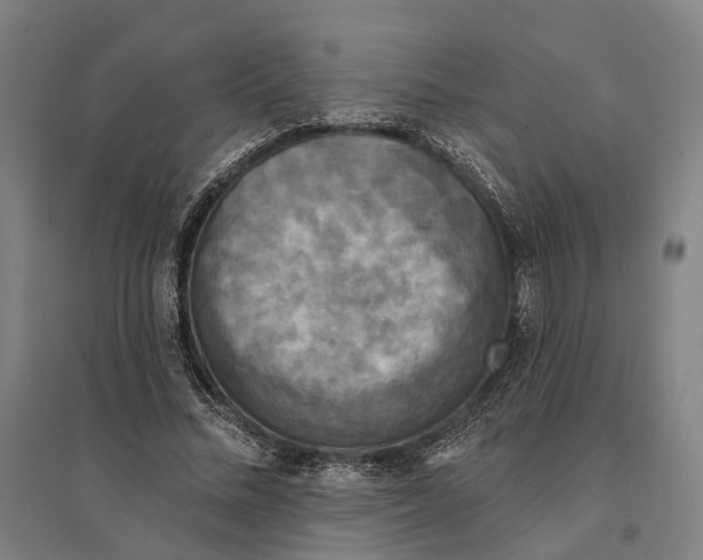 X0000095110684200712301737