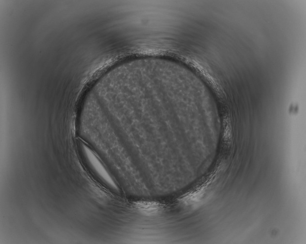 X0000095110685200712301737