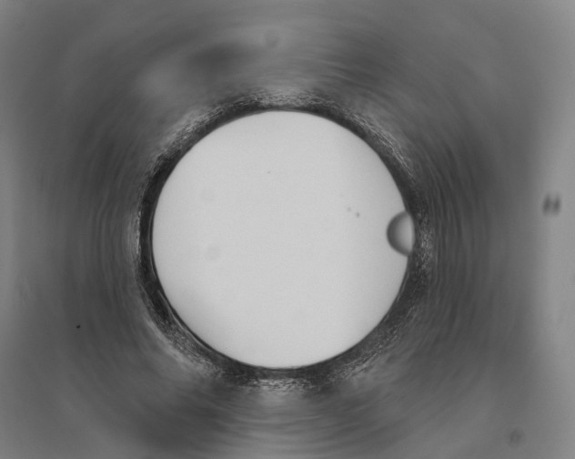 X0000095110686200712301737