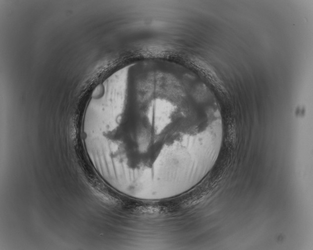 X0000095110687200712301737