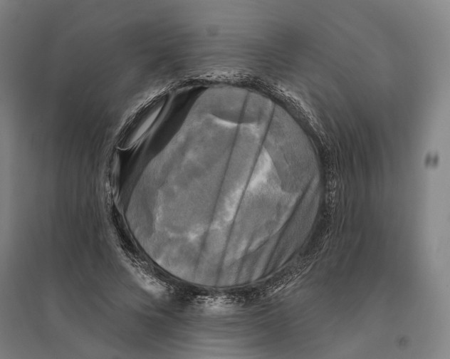 X0000095110688200712301737