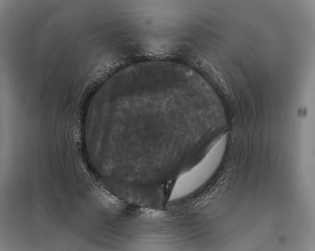 X0000095110689200712301737