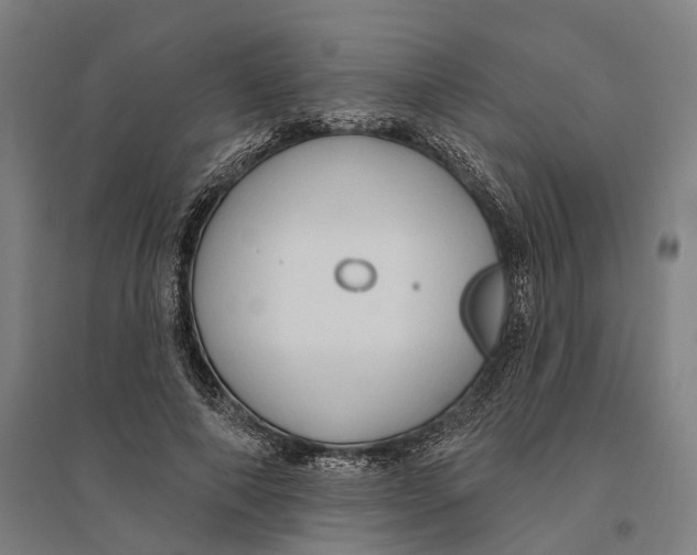 X0000095110690200712301737