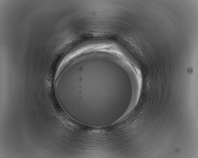 X0000095110691200712301737