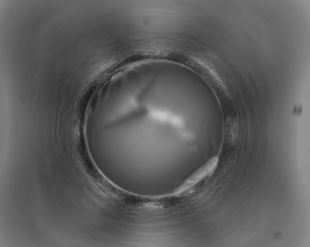 X0000095110692200712301737