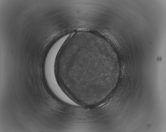 X0000095110693200712301737