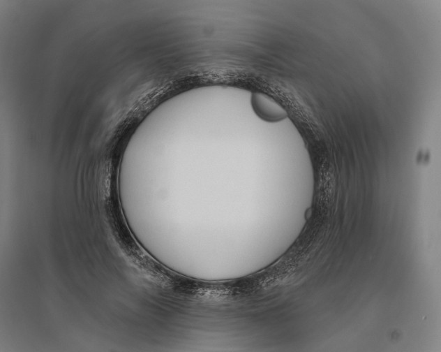 X0000095110694200712301737