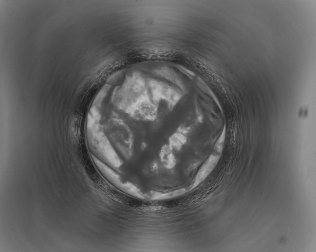 X0000095110695200712301737