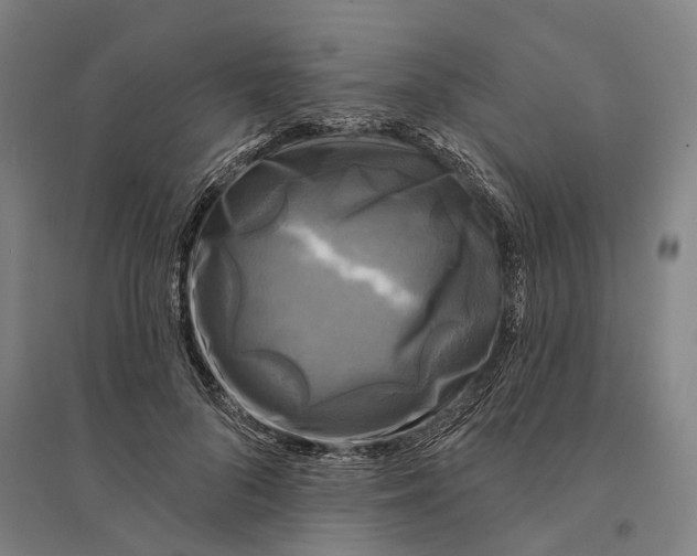 X0000095110696200712301737