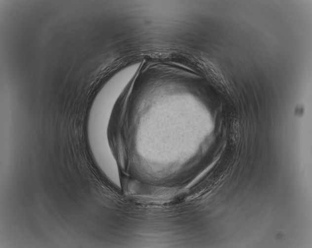 X0000095110697200712301737