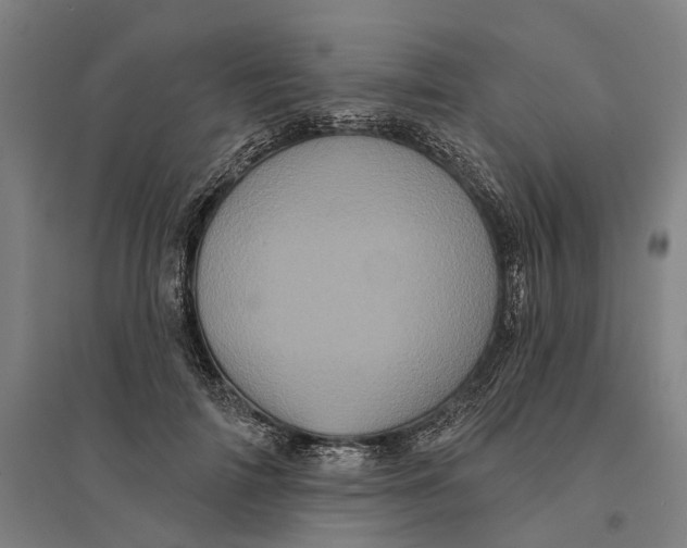 X0000095110698200712301737