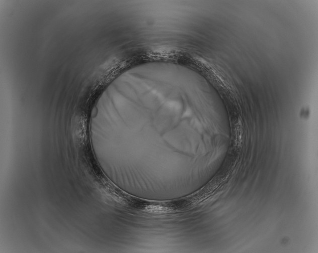 X0000095110699200712301737