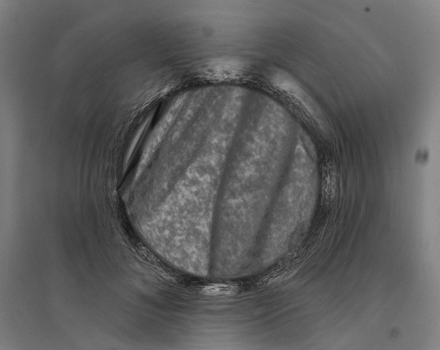 X0000095110700200712301737