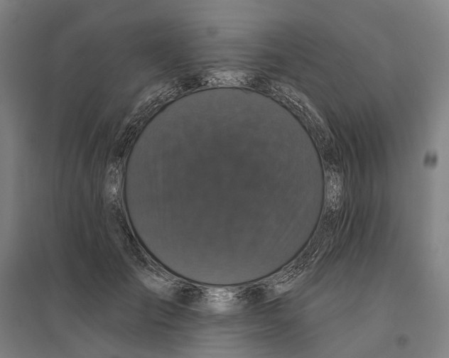 X0000095110701200712301737