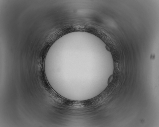 X0000095110702200712301737