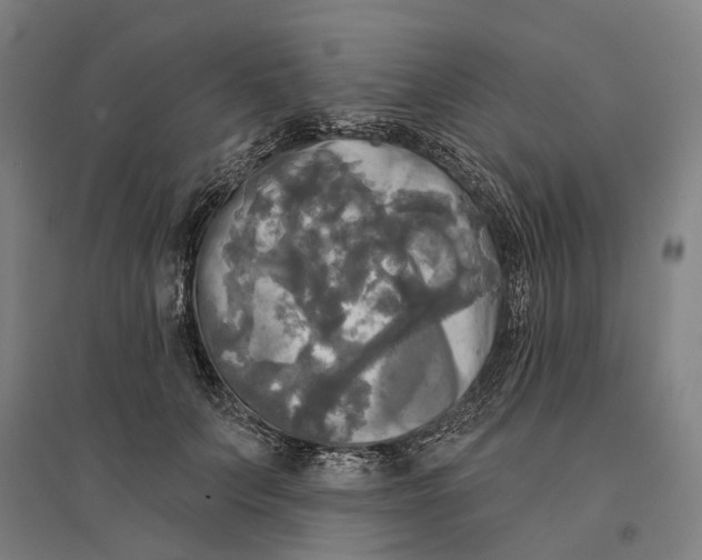 X0000095110703200712301737