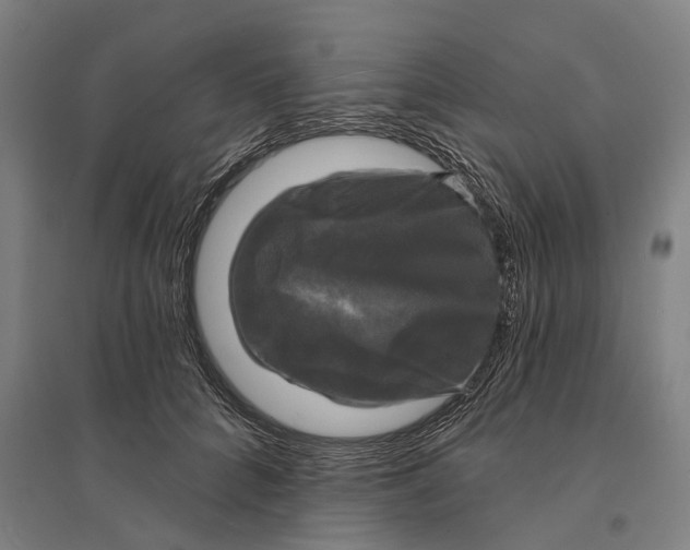 X0000095110704200712301737