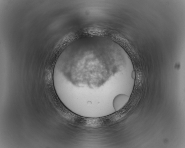 X0000095110705200712301737