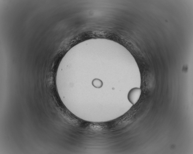 X0000095110706200712301736