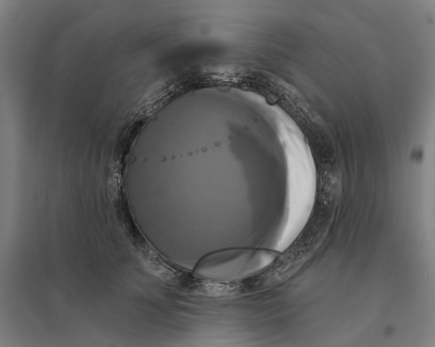 X0000095110707200712301736