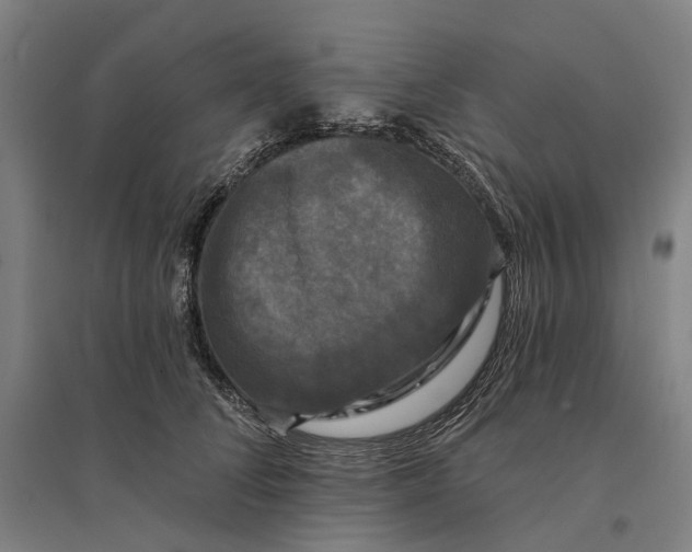 X0000095110708200712301736